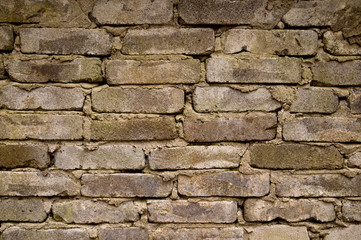 Fototapeta premium Steinmauer