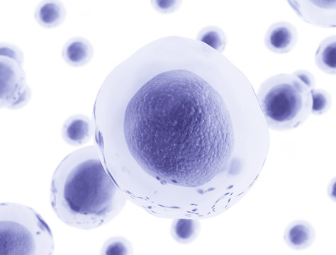 Human cells medical background. 3d rendered illustration