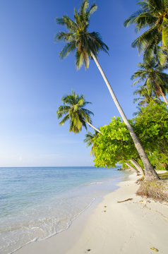 Wondefull Karimun jawa beach, Indonesia