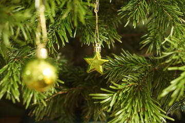 real christmas tree fir with green christmas star
