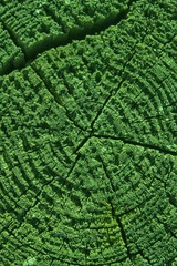 Wooden texture, empty wood background, cracked surface