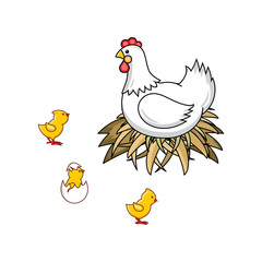 vector flat hand drawn white colored hen chicken, cock sitting in hay nest, yellow chicks, hatching from egg chick icon set. Isolated illustration on a white background. Farm poultry chicken