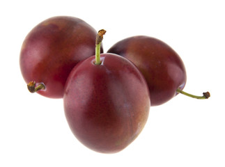 plums isolated on white background
