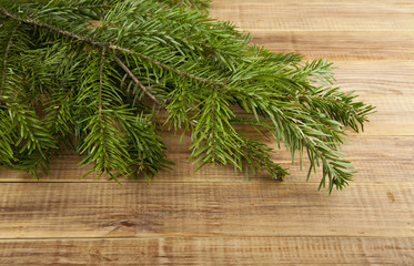 branch of a tree on a wooden background