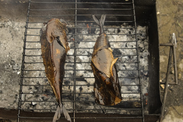 fish on the grill