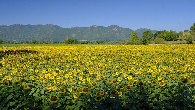 Country landscape between Rieti (Lazio) and Terni (Umbria) © Claudio Colombo