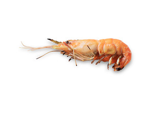 Grilled shrimp seafood menu isolated on white background. This has clipping path.