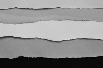 gray paper background. copy space