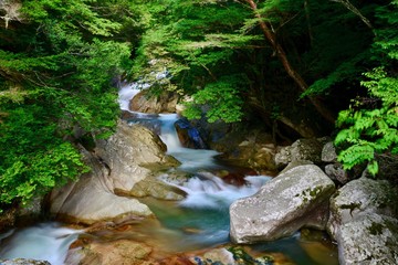 日本の渓流とたき