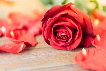 Red rose flower on wooden floor in Valentine's Day
