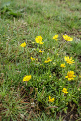 Pateira de Fermentelos, Águeda, Portugal