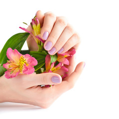 Hands of a woman with pink manicure on nails and flowers alstroemeria on a white background