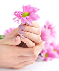 Hands of a woman with pink manicure on nails and pink flowers on a white background