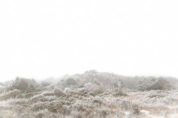 Foggy winter landscape