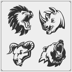 Set of lion, rhino, bear and bull heads.