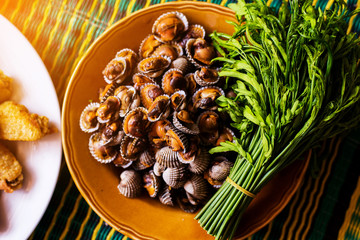 Scallops or cockle in the dish