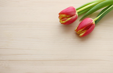 wood background with tulips