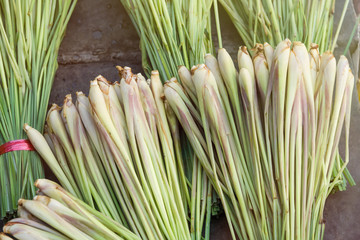 Fresh Lemonglass in the market.Thailand.