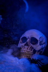 Halloween, memento mori and death concept with a skull in a cemetery, next to a tombstone with a smoky haze under the night blue light with a vertical crop