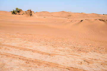 Landscape in Erg Chebbi