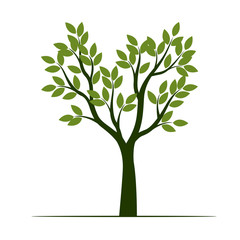 Obraz premium Set Green Trees with Leaves. Vector Illustration.