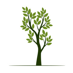 Set Green Trees with Leaves. Vector Illustration.