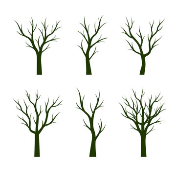 Set Green Trees without Leaves. Vector Illustration.