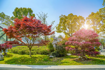 Naklejka premium Suzhou gardens