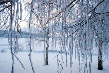 winter