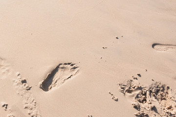 Footprints on the sand beach beach.