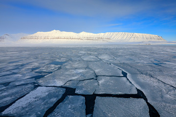 Winter Arctic. White snowy mountain, blue glacier Svalbard, Norway. Ice in ocean. Iceberg twilight...