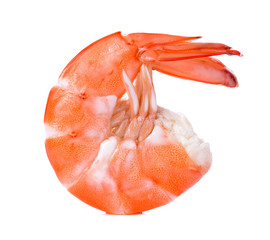 shrimps isolated on a white background