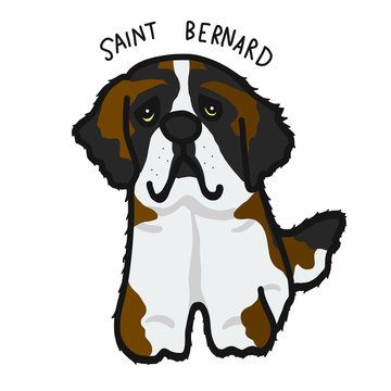 Saint Bernard dog cartoon vector illustration