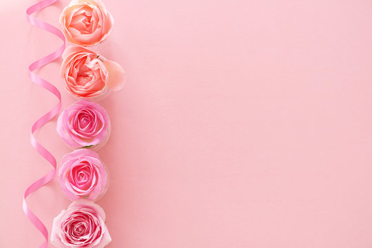 Valentine background with beautiful pink rose flowers and ribbon 
