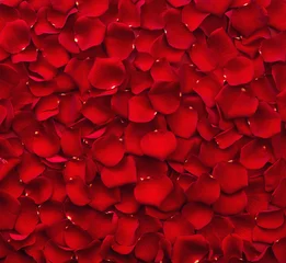 Fotobehang Achtergrond van rode rozenblaadjes © baibaz