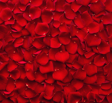Rose Petals - Red