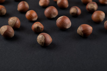 Walnut  in shell