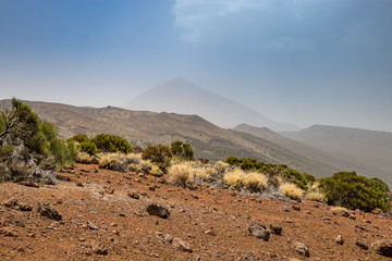 Dry Area of Teide National Park with Teide Mountain in the Background, Tenerife