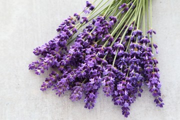 Lavender.