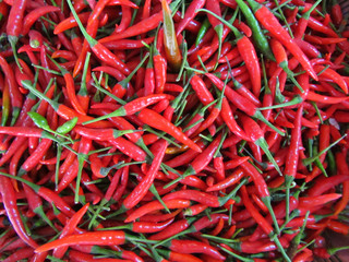 Frische rote scharfe Chilis auf einem Thaimarkt in Bangkok