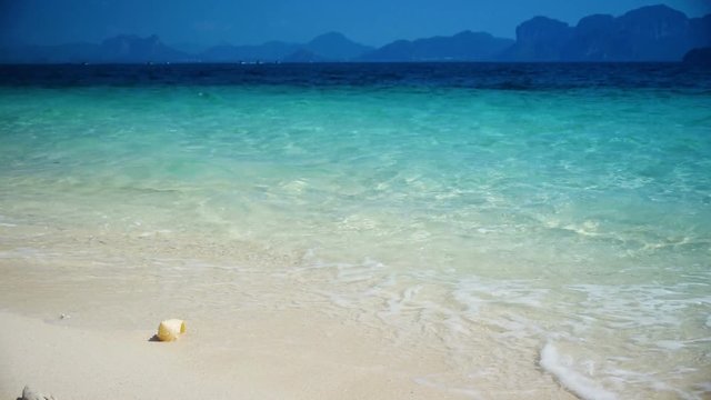 seashell on the beach ,Poda island, Krabi province, Thailand