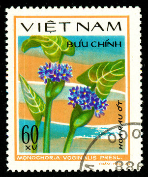 Ukraine - circa 2018: A postage stamp printed in Vietnam shows drawing flower Arrow head, Monochoria vaginalis. Series: Aquatic flowers. Circa 1978.