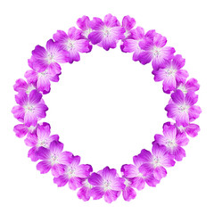 Fototapeta na wymiar mock up round floral frame from flowers of wild geranium isolated on white background, for text, for phrases, for lettering, for congratulations