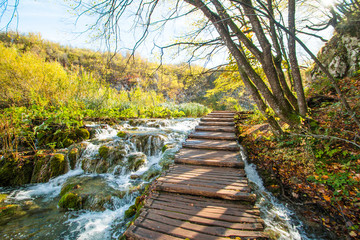 Beautiful landscape, clear green water and wooden path in the Plitvice Lakes National Park in Croatia 