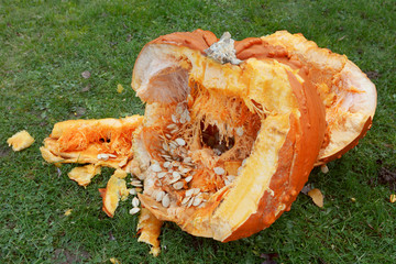Roughly broken pumpkin pieces