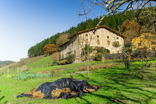 Typical Basque landscape between mountains