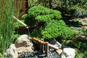 Fototapeta premium Japanese garden