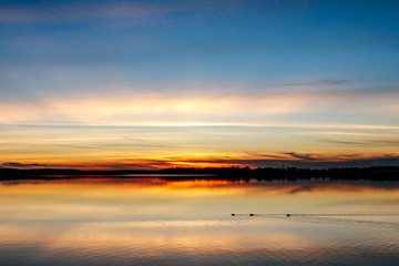 Fototapeta na wymiar Sunset over lake Thunderbird, ducks swimming by.