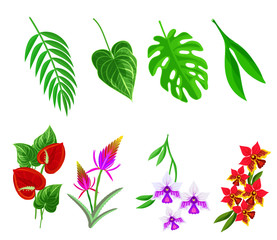 Tropical flower and palm leaves icons element set isolated on white.