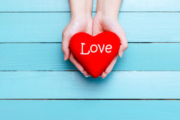 red heart in hands on a blue background